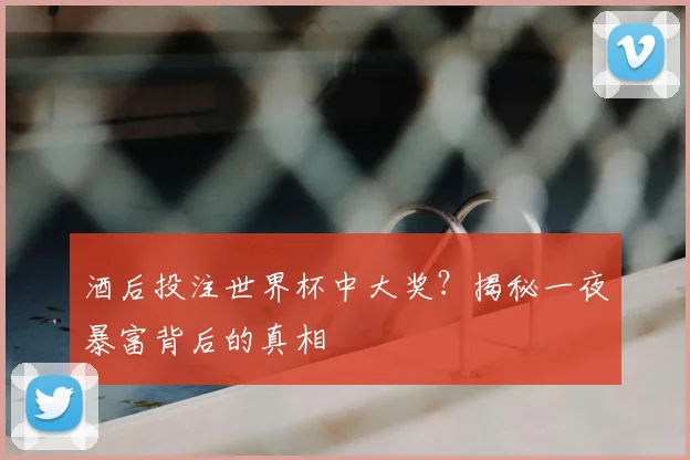 酒后投注世界杯中大奖？揭秘一夜暴富背后的真相