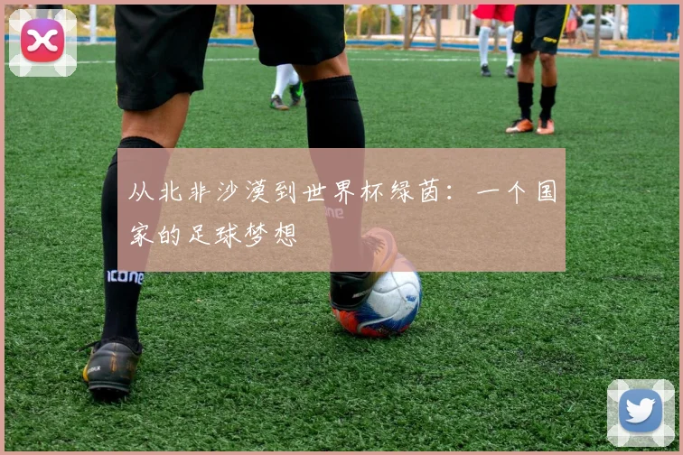 从北非沙漠到世界杯绿茵：一个国家的足球梦想