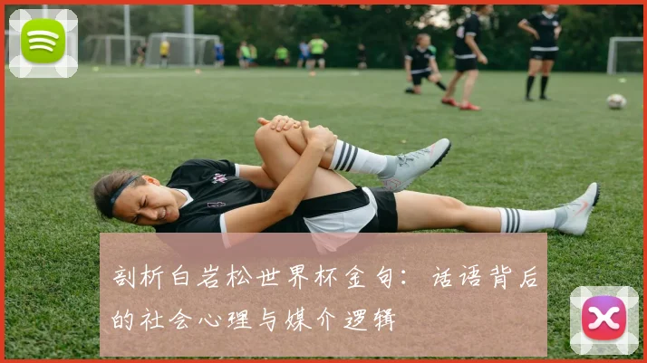 剖析白岩松世界杯金句：话语背后的社会心理与媒介逻辑