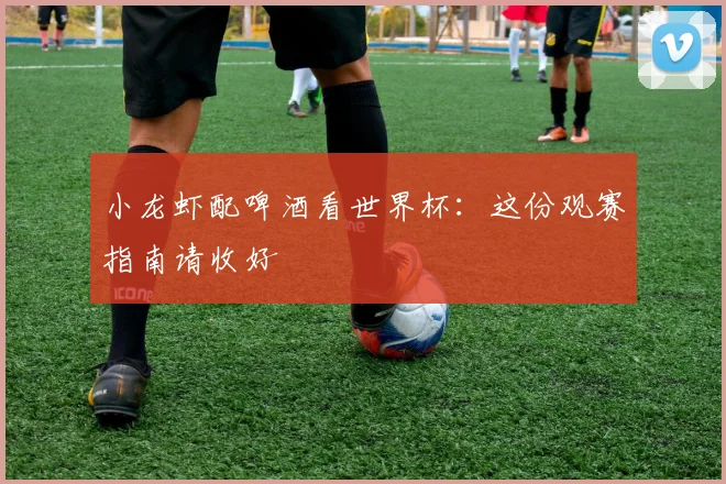 小龙虾配啤酒看世界杯：这份观赛指南请收好