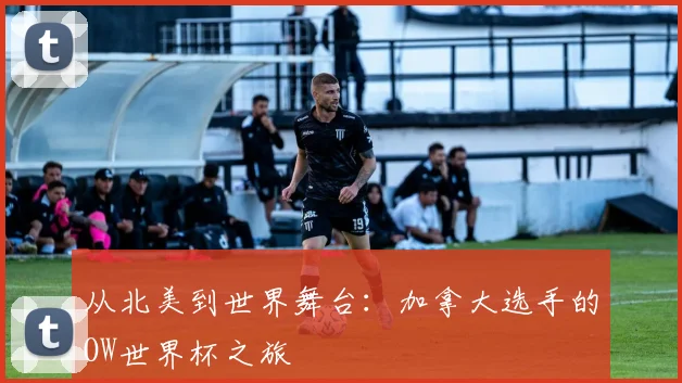 从北美到世界舞台：加拿大选手的OW世界杯之旅