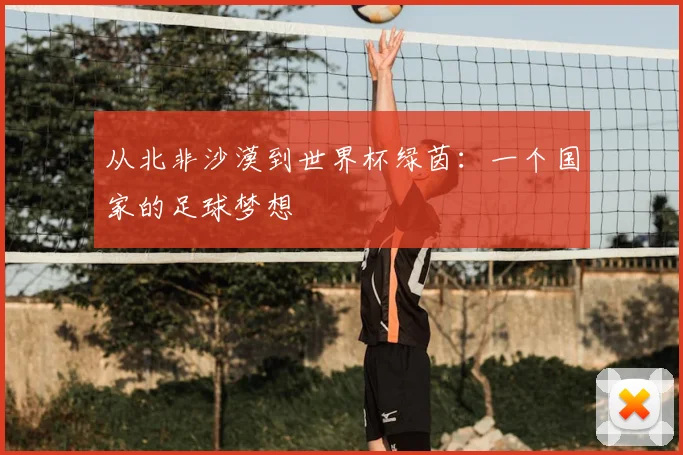 从北非沙漠到世界杯绿茵：一个国家的足球梦想