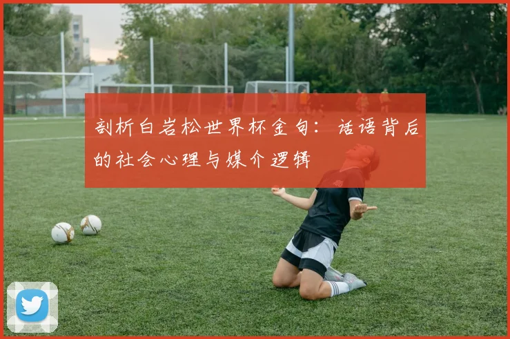剖析白岩松世界杯金句:话语背后的社会心理与媒介逻辑