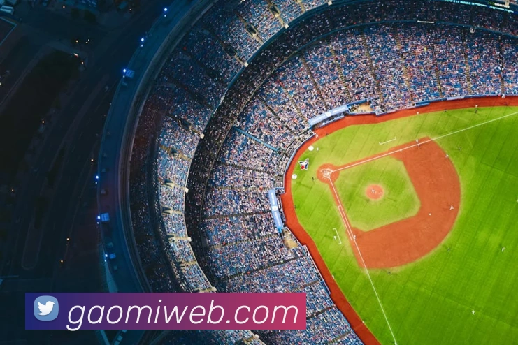 多媒体互动体验